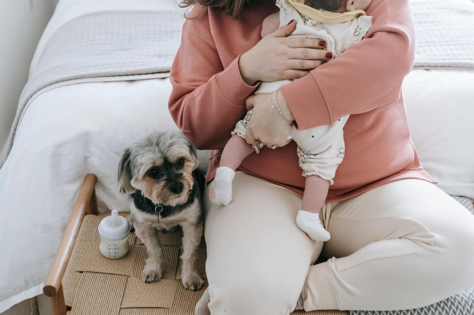 Hund lernt vorsichtig das neugeborene Baby kennen