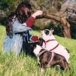 Hund erziehen: So gelingt die Erziehung deines Hundes