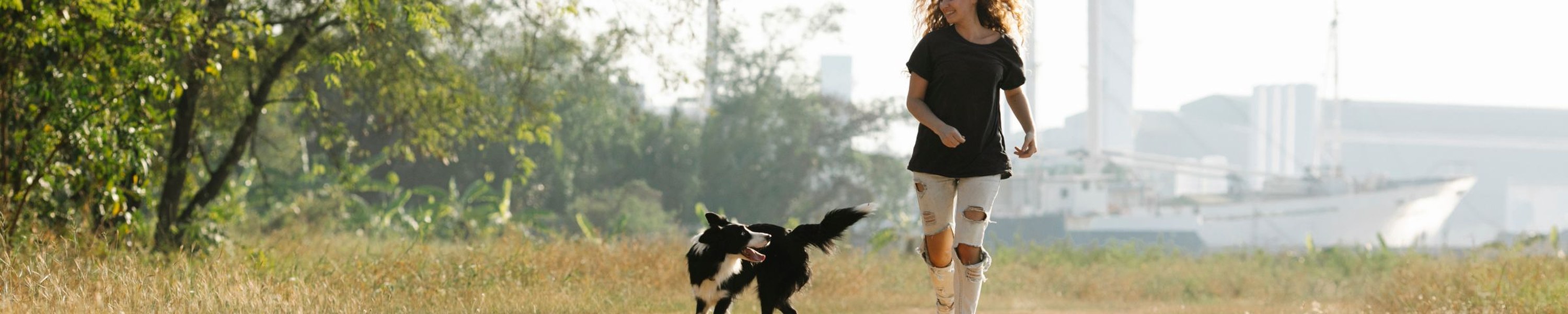 Hund hört nicht: Rückruf zuverlässig trainieren