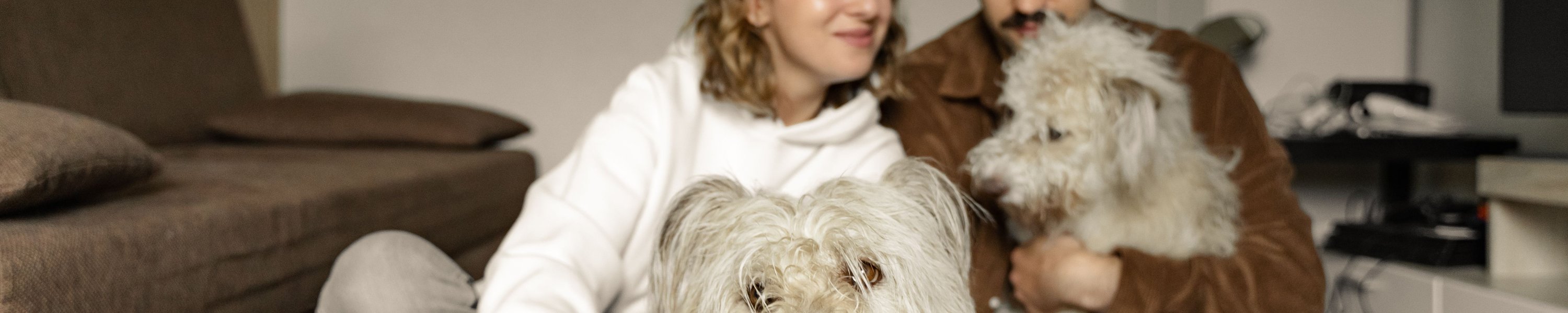 Hund und Baby: So bereitest du deinen Hund aufs Baby vor
