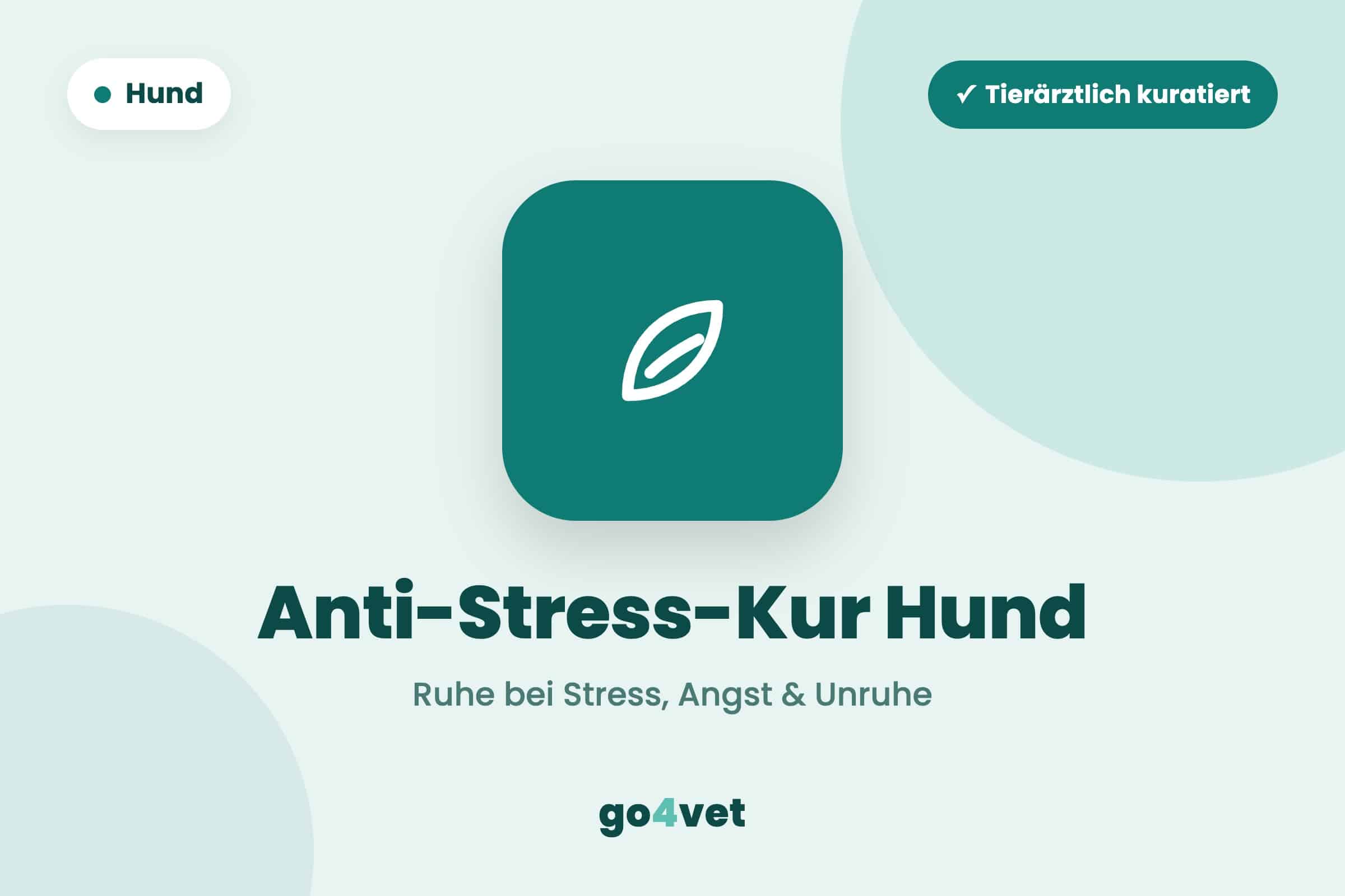 Anti-Stress-Kur Hund