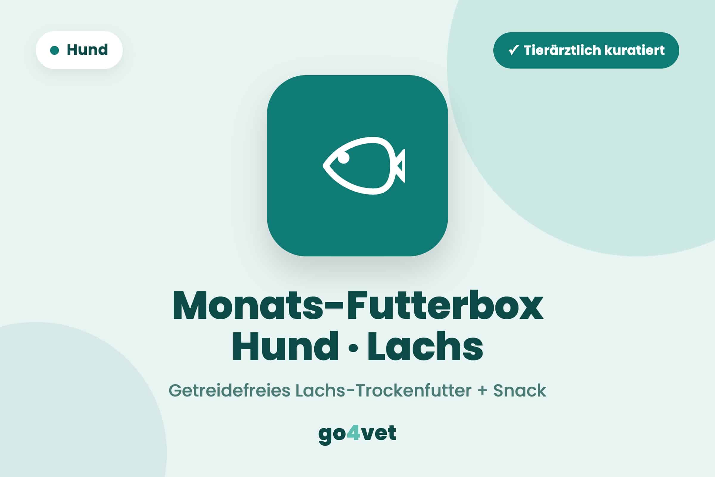 Monats-Futterbox Hund · Lachs