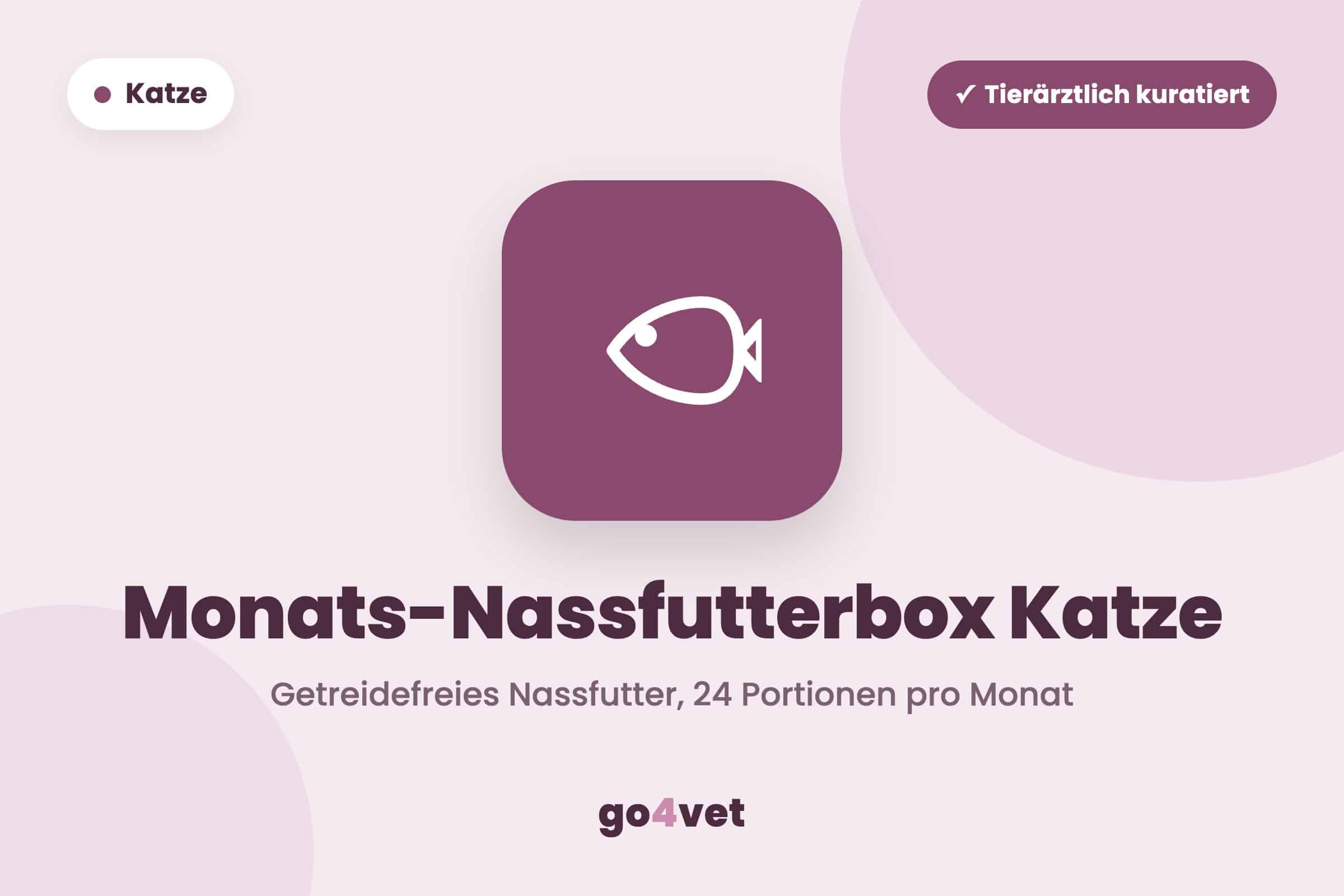 Monats-Nassfutterbox Katze