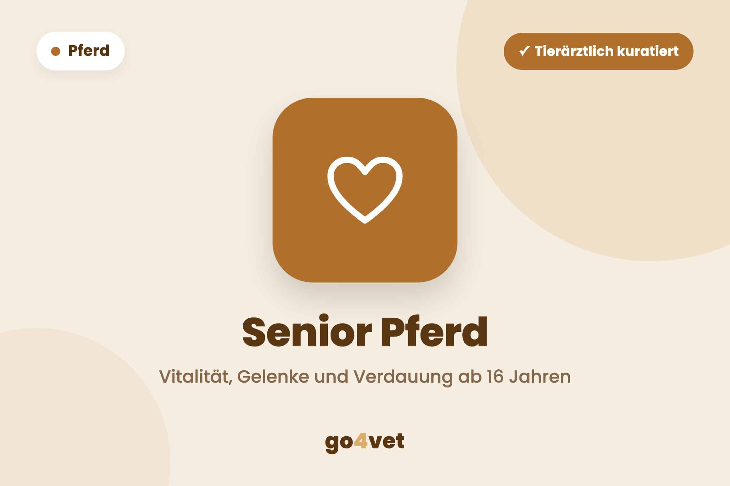 Senior Pferd