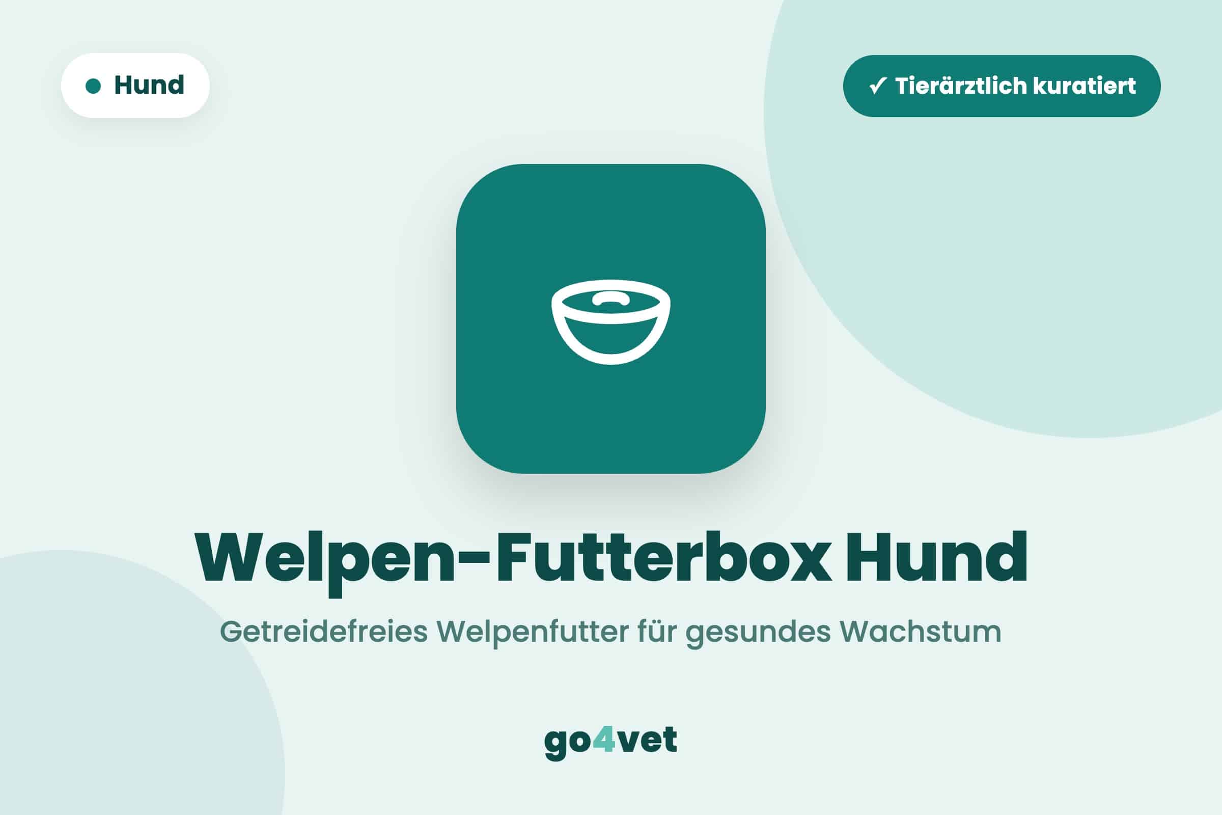 Welpen-Futterbox Hund