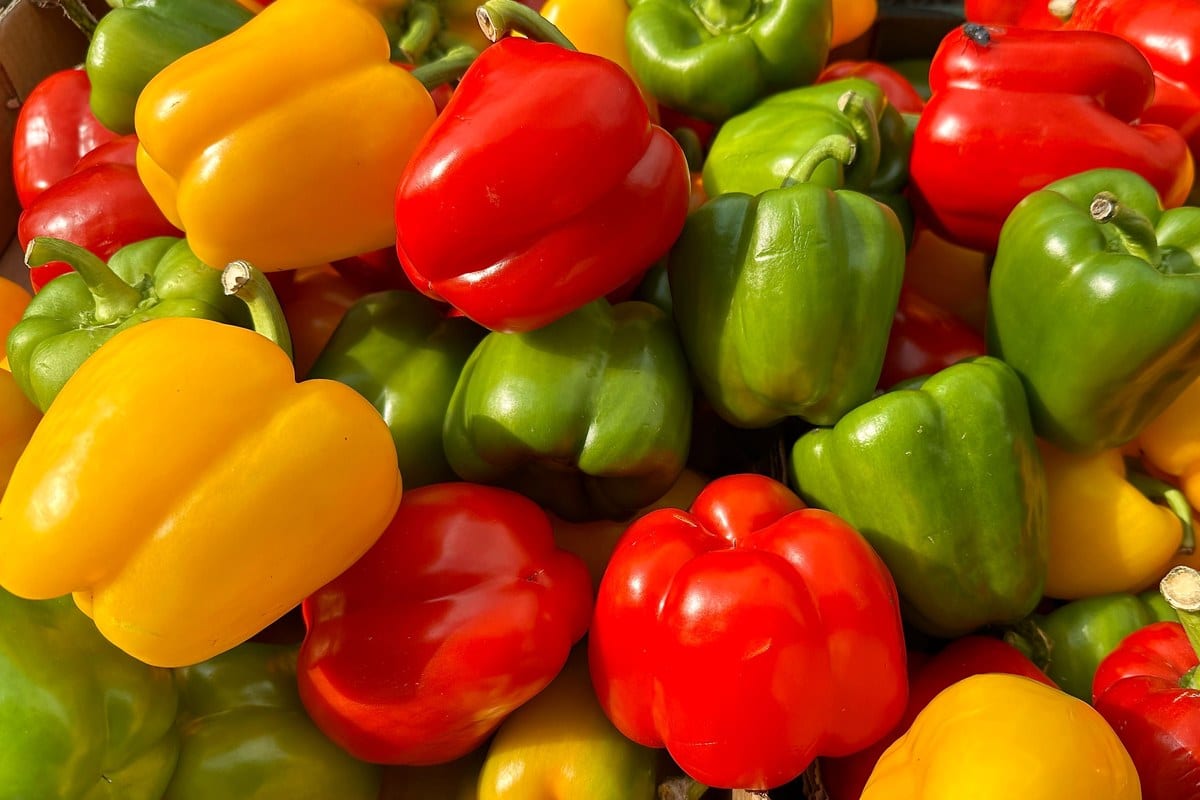 Rote, gelbe und orange Paprika in verschiedenen Farben