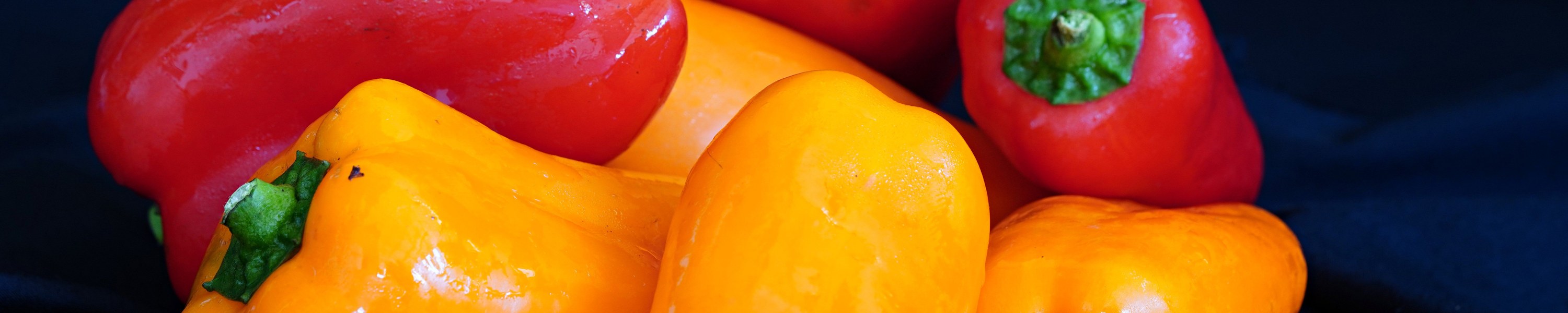 Dürfen Wellensittiche Paprika essen? Alle Farben und Fütterung