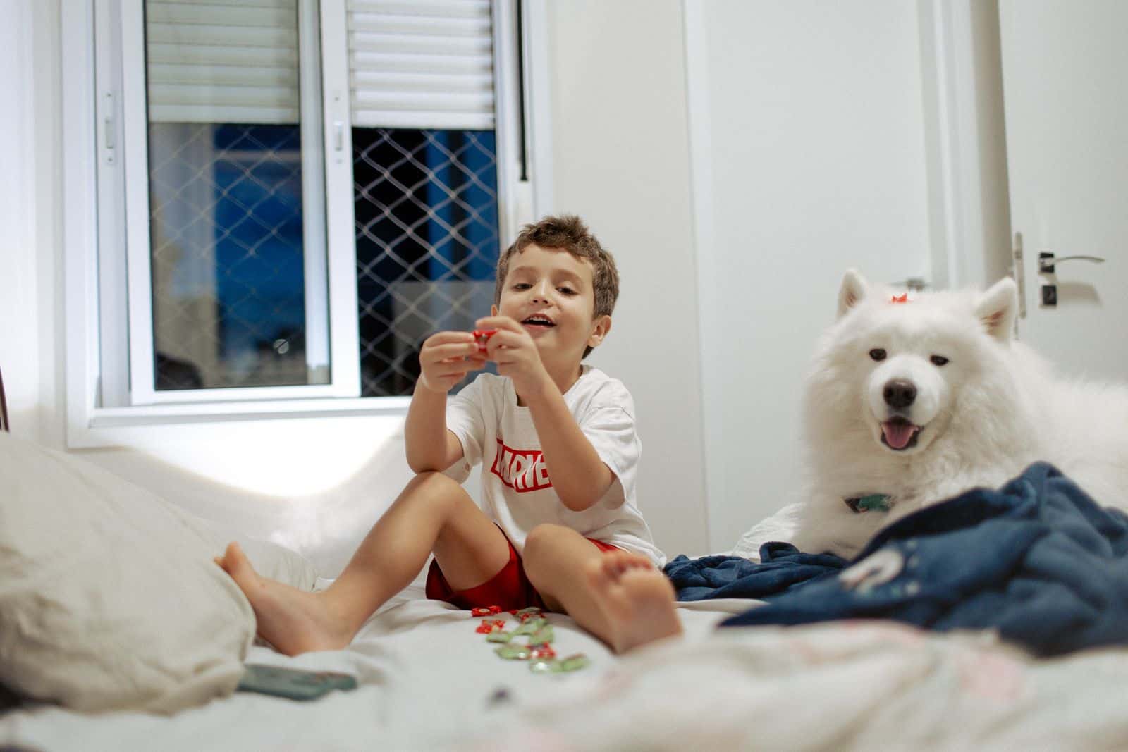 Kind und Hund mit ruhigem Abstand zueinander im Wohnzimmer unter Aufsicht