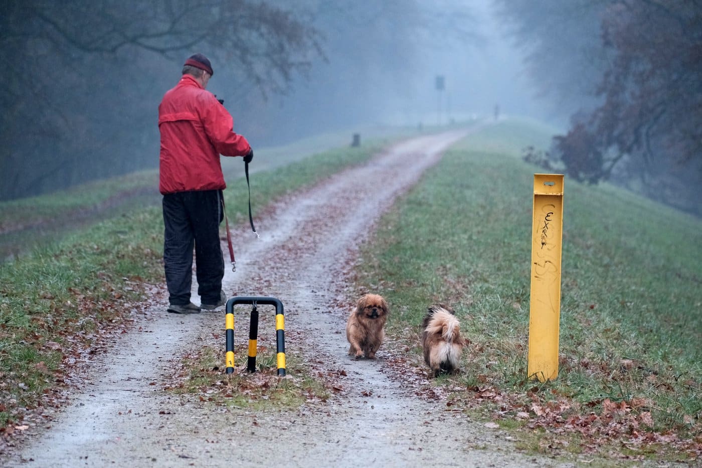Halterin verlässt ruhig die Wohnung, während der Hund gelassen zurückbleibt