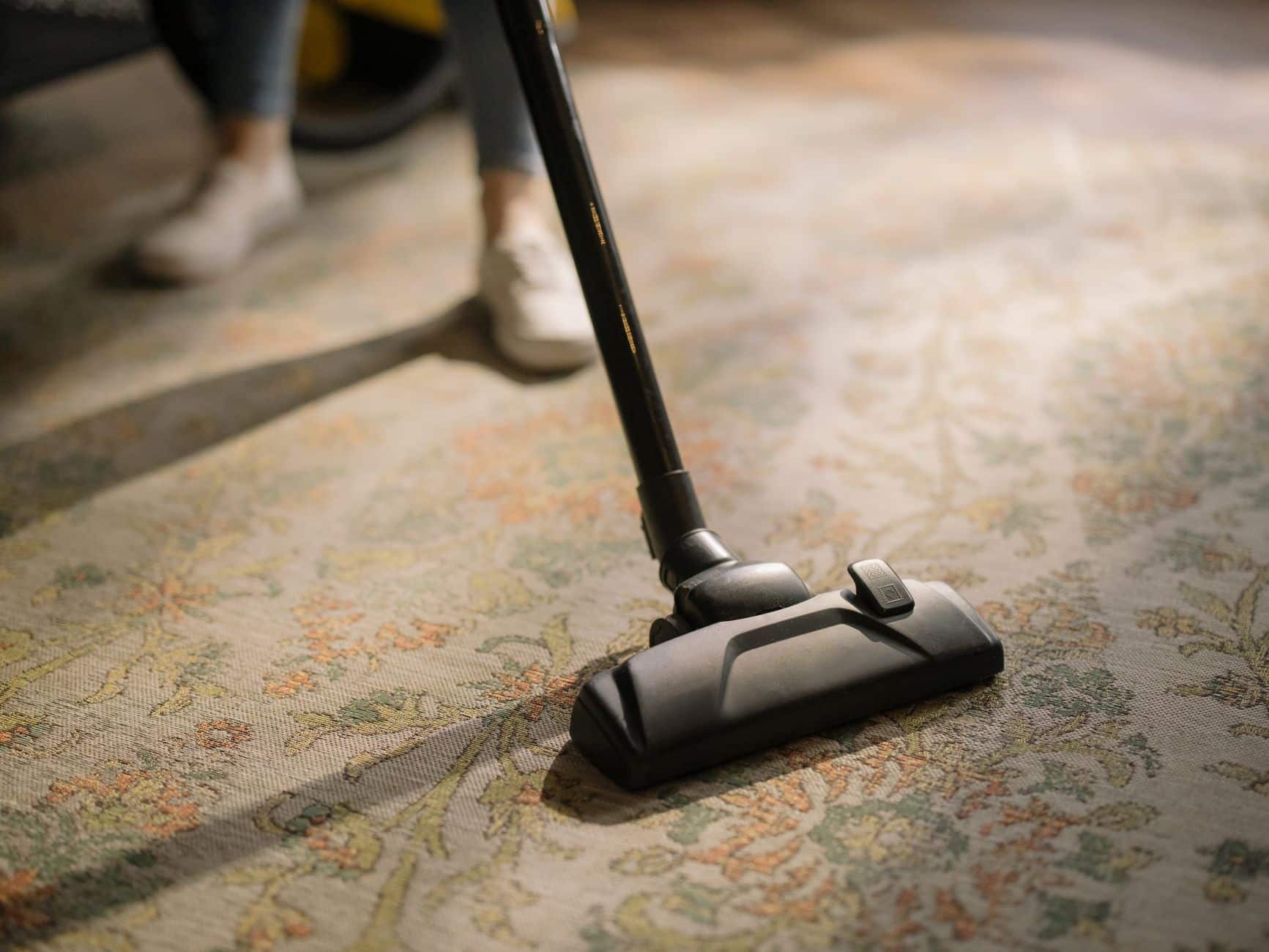 Staubsaugen im Wohnzimmer mit Teppich – go4vet