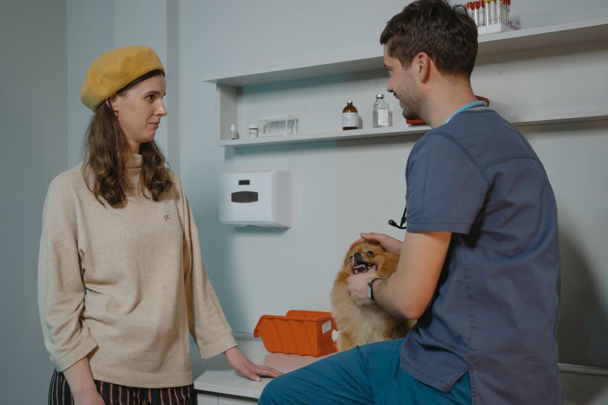 Tierarzt bespricht mit einer Hundehalterin die Behandlung