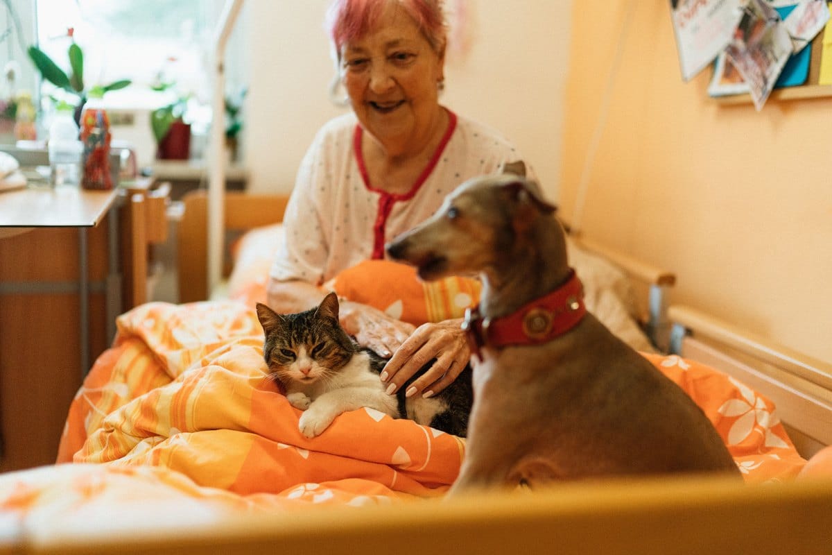 Ältere Frau sitzt mit ihrem Hund und ihrer Katze auf dem Bett