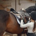 Kissing Spines beim Pferd: Symptome, Diagnose und Therapie