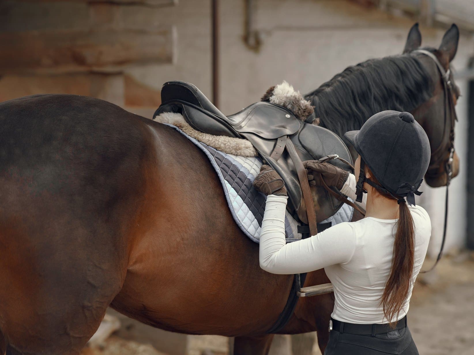 Kissing Spines beim Pferd: Symptome, Diagnose und Therapie