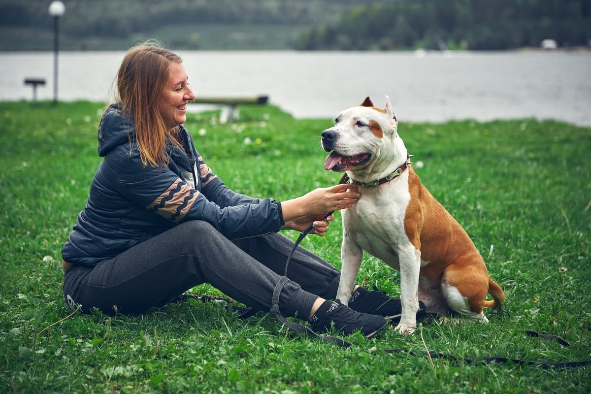 Frau sitzt mit ihrem American Staffordshire Terrier im Gras