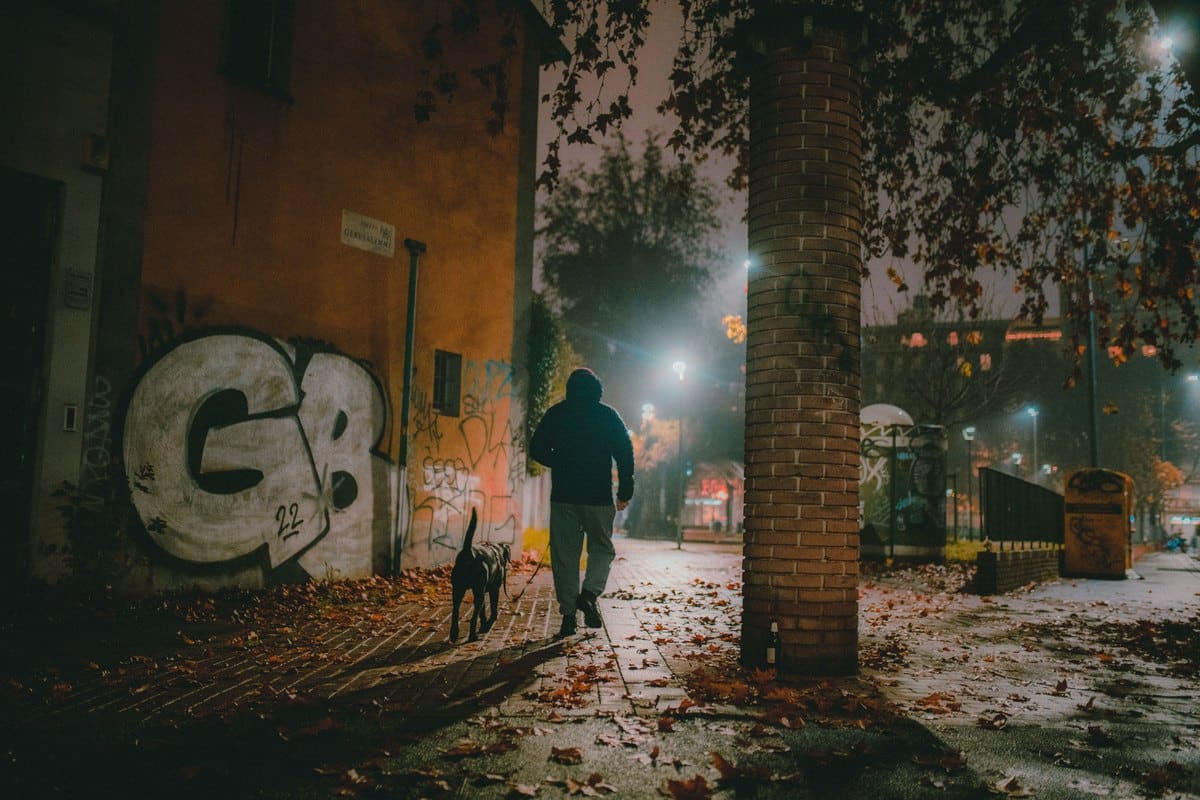 Mann geht abends mit seinem Hund durch eine beleuchtete Straße