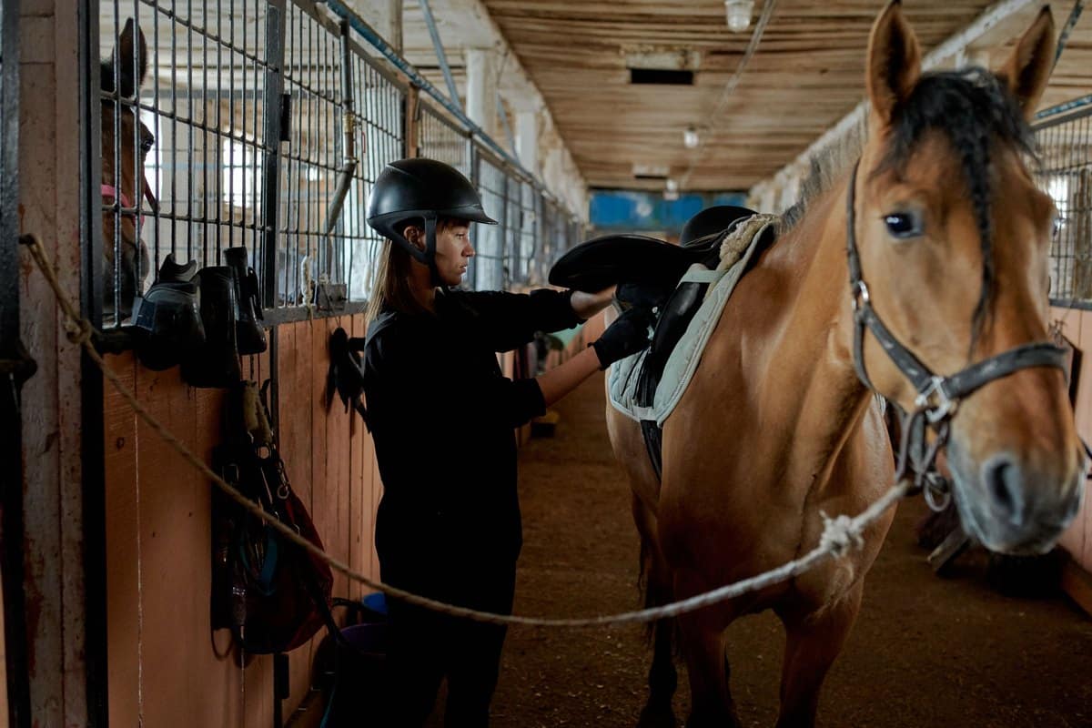 Reiterin sattelt ein Pferd in der Stallgasse