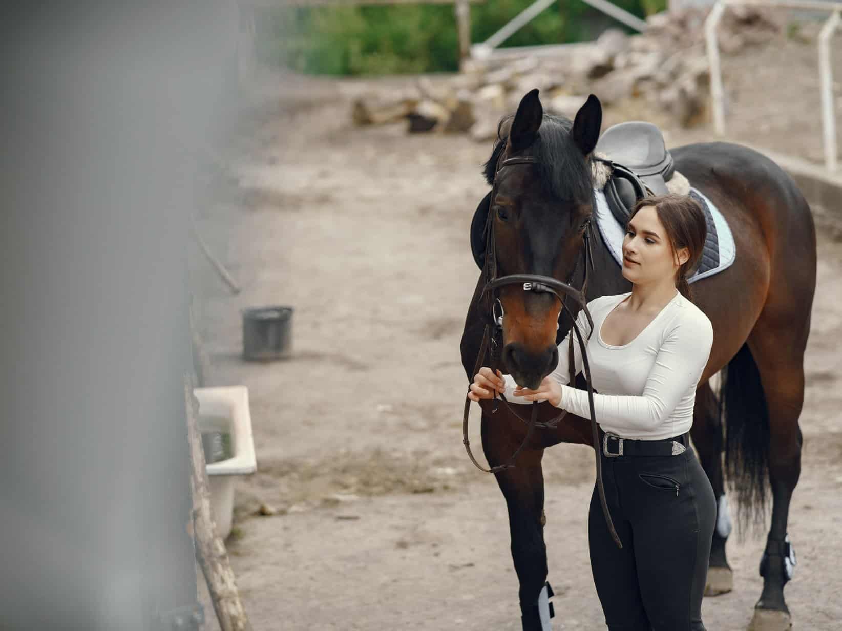 Reitbeteiligung: finden, vereinbaren, absichern