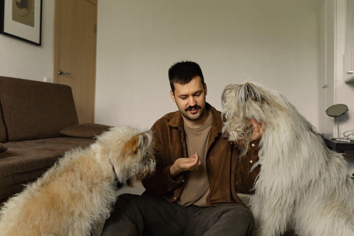 Mann sitzt im Wohnzimmer mit zwei langhaarigen Hunden