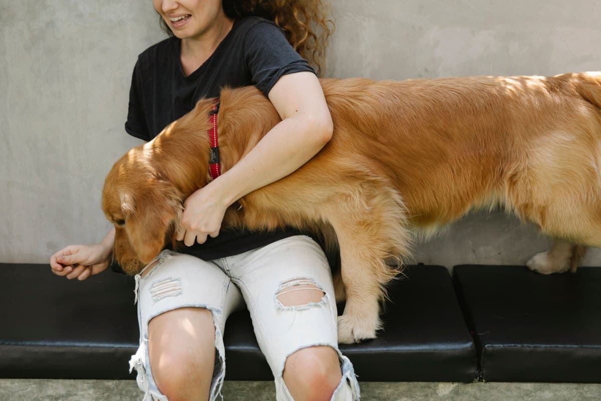 Frau umarmt ihren Golden Retriever